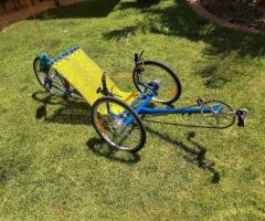 9 Speed Trike